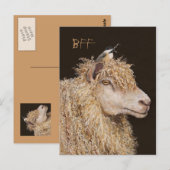 BFF-briefkaart met schapen en cichorei Briefkaart (Voorkant / Achterkant)