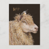 BFF-briefkaart met schapen en cichorei Briefkaart (Voorkant)
