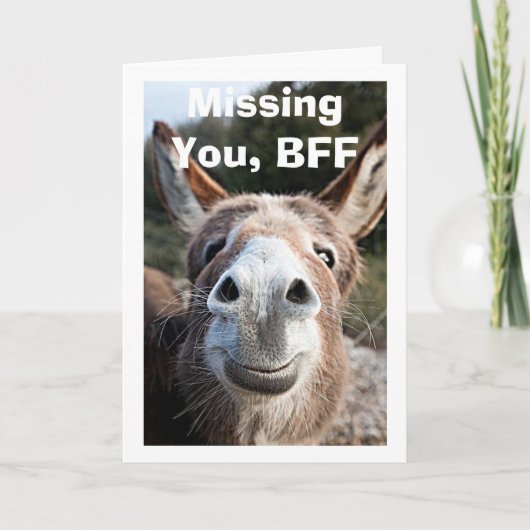 *BFF** POOR DONKEY MIST ZEER GEZIEN DAT KAART (Voorkant)