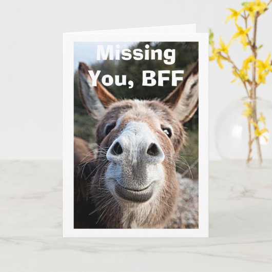 *BFF** POOR DONKEY MIST ZEER GEZIEN DAT KAART (Gele Bloem)
