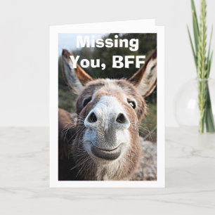 *BFF** POOR DONKEY MIST ZEER GEZIEN DAT KAART