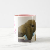 BFFs4Ever! Mok - Roze (Center)