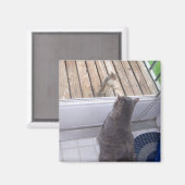 BFF's Magneet (Voorkant / Achterkant)