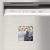 BFF's Magneet (Insitu (Vaatwasser))