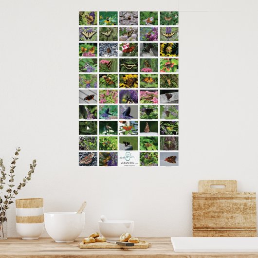 bfly_50_poster poster (Keuken)