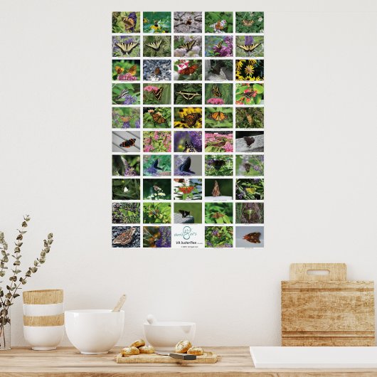 bfly_50_poster poster (Keuken)