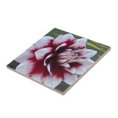 BH - Floral Tile van rode en witte Dahlia Tegeltje (Zijkant)