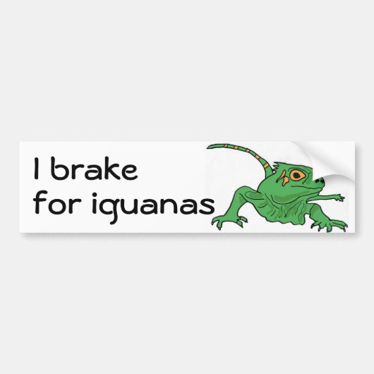 Bh- I rem voor iguanas bumper sticker (Voorkant)