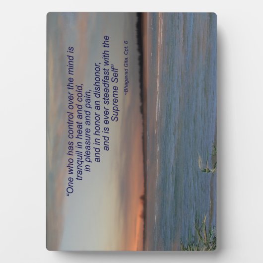 Bhagavad Gita Quote Plaque: "Een die controle heef Fotoplaat (voorkant)