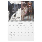 BHVF Rescue 2011-kalender Kalender (Feb 2027)