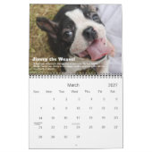 BHVF Rescue 2011-kalender Kalender (Mar 2027)
