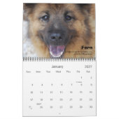 BHVF Rescue 2011-kalender Kalender (Jan 2027)