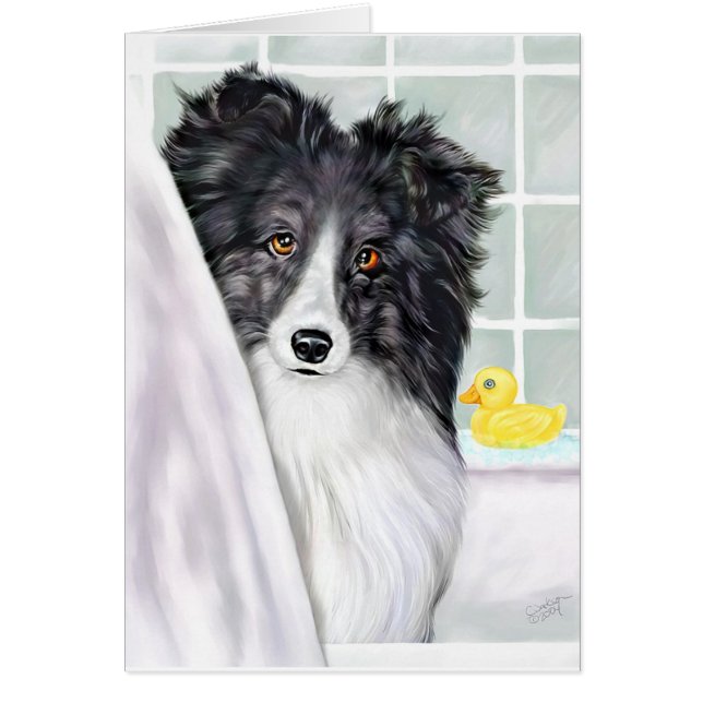 Bi Black Sheltie Bath (Voorkant)