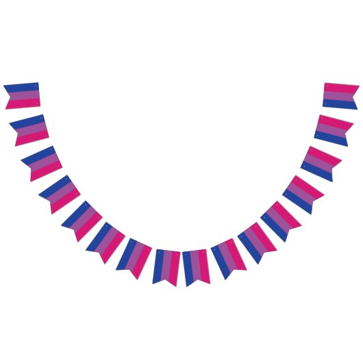 Bi Bunting Vlag Vlaggetjes (Alle)