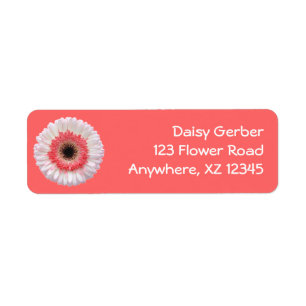 Bi-Color Gerber Daisy Etiket