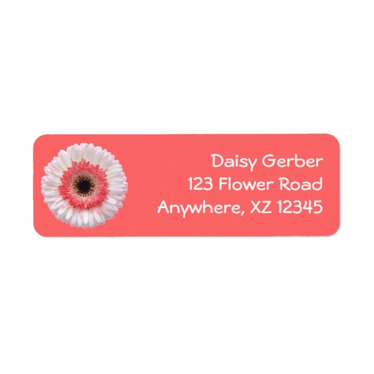 Bi-Color Gerber Daisy Etiket (Voorkant)