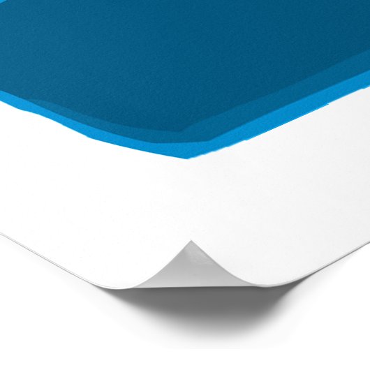 Bi Polar-Beren Poster (Hoek)