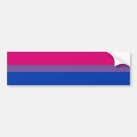 Bi Pride Bumber Sticker (Voorkant)
