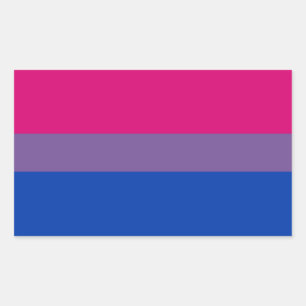 BI Pride Flag Sticker Sheets (Rechthoek)