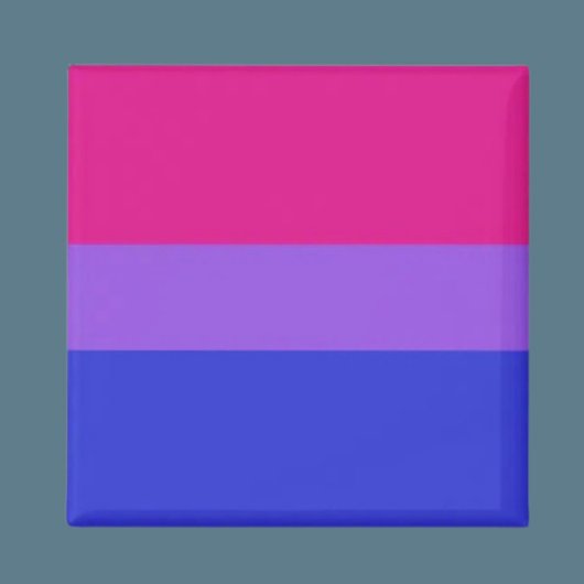 Bi Pride Kracht Magneet