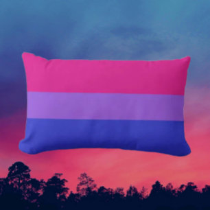 Bi Pride Lendencomfort Kussen