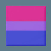 BI Pride Power Magneet