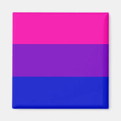 Bi pride vlag magneet (Voorkant)