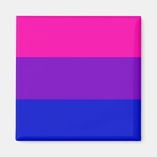 Bi pride vlag magneet