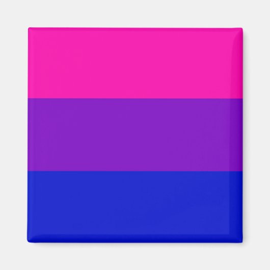 Bi pride vlag magneet (Voorkant)