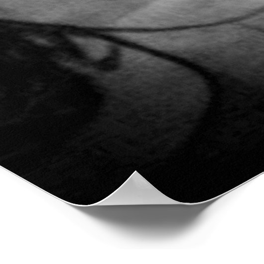 BI-RACIAL BEAUTY-poster Poster (Hoek)