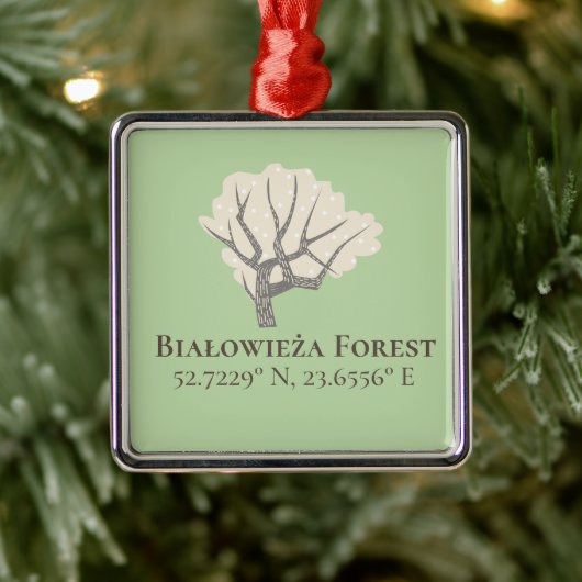 Białowieża Forest Latitude & Longitude Metalen Ornament (Boom)
