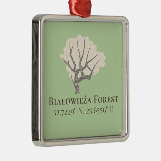 Białowieża Forest Latitude & Longitude Metalen Ornament (Rechts)