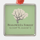 Białowieża Forest Latitude & Longitude Metalen Ornament (Voorkant)
