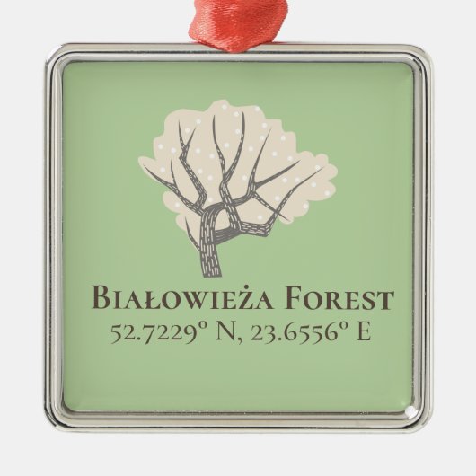 Białowieża Forest Latitude & Longitude Metalen Ornament (Voorkant)
