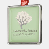 Białowieża Forest Latitude & Longitude Metalen Ornament (Links)