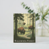 Bialowieza Forest Polen vintage Briefkaart (Staand voorkant)