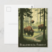 Bialowieza Forest Polen vintage Briefkaart (Voorkant / Achterkant)