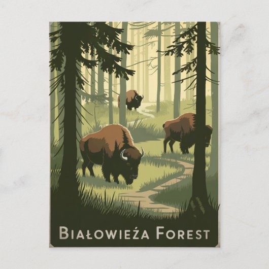 Bialowieza Forest Polen vintage Briefkaart (Voorkant)