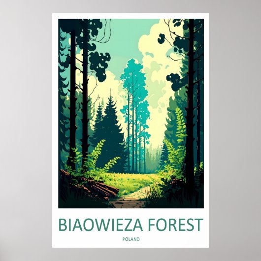 Białowieża-woud 1 poster (Voorkant)