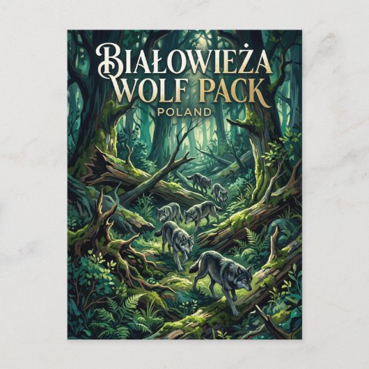 Białowieża-woud Polen Briefkaart (Voorkant)