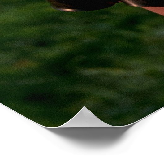 Bianca Beauchamp Latex Cosplay Poster (Hoek)