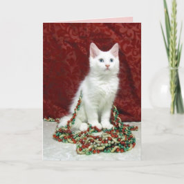 Bianca's Maine Coon Cat Kerstmis Kaart