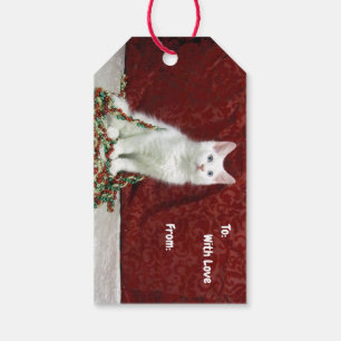 Bianca's Maine Coon Kerstmis - Cat Gift Label Cadeaulabel
