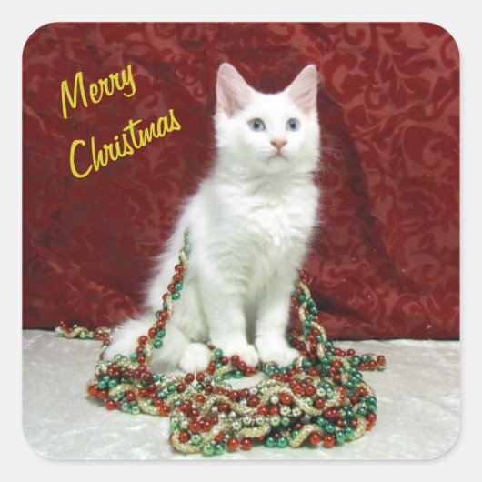 Bianca's Maine Coon Kerstmis - Kat / Keuten Vierkante Sticker (Voorkant)