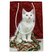 Bianca's Maine Coon Kerstmis - Kat Medium Cadeauzakje (Voorkant)