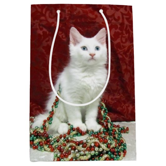 Bianca's Maine Coon Kerstmis - Kat Medium Cadeauzakje (Voorkant)