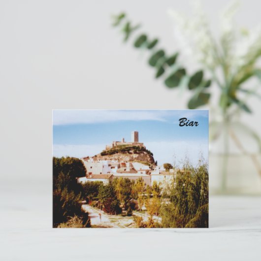 Biar Briefkaart (Staand voorkant)