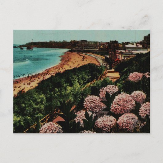 Biarritz Hortensias Frankrijk Briefkaart (Voorkant)