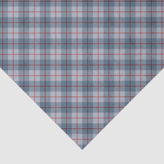 Bias Pset Blue-Red Stripe Tissuepapier (Detail)