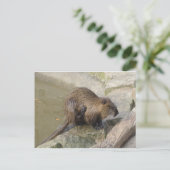 Biber Briefkaart (Staand voorkant)